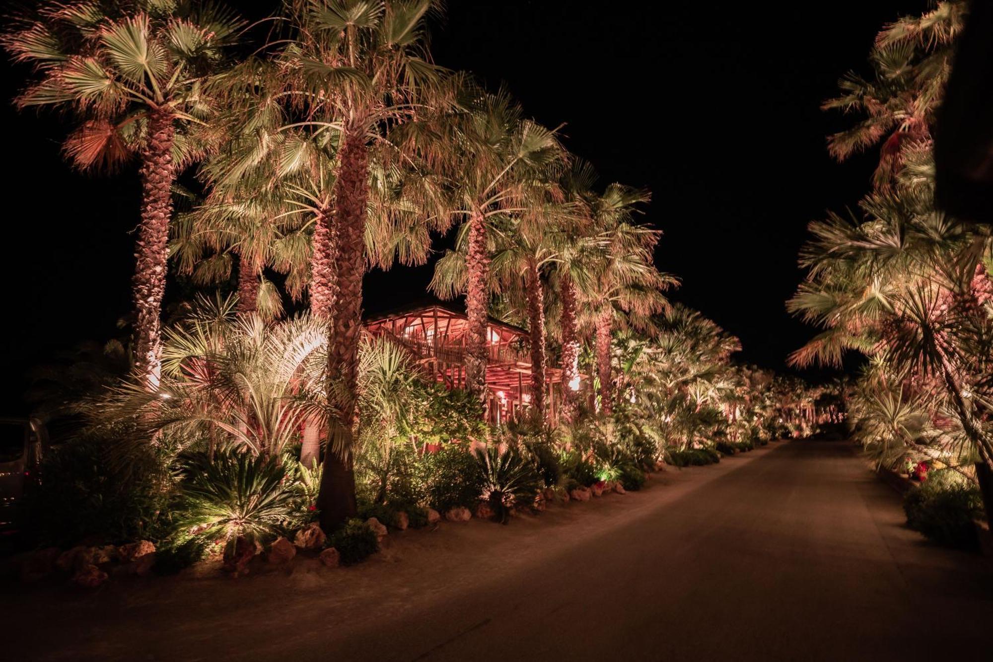 金羊毛酒店 拉马蒂埃勒 外观 照片 The Desert Botanical Gardens at night