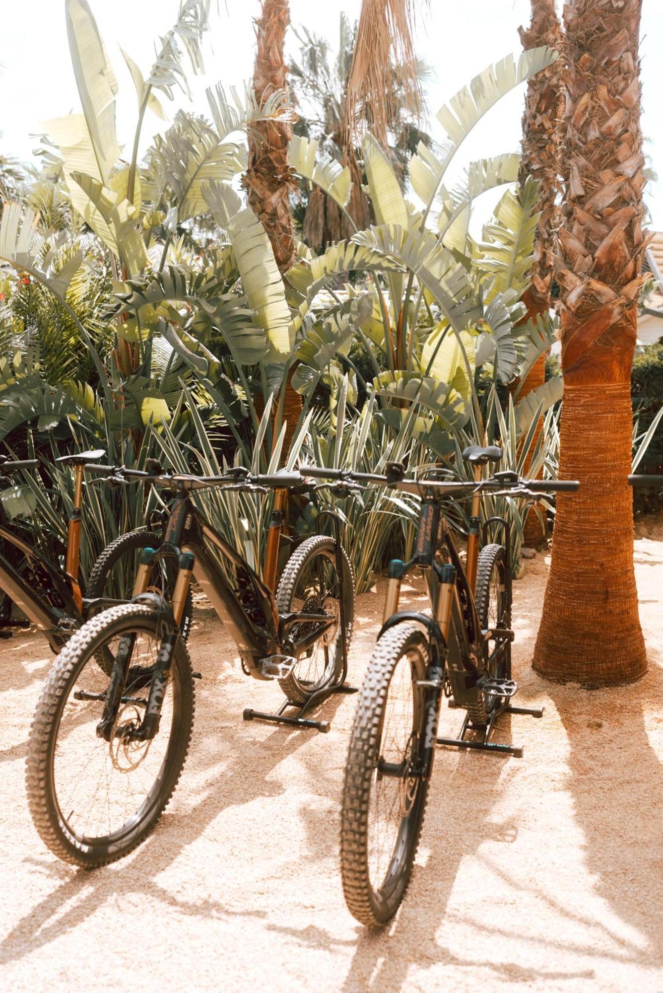 金羊毛酒店 拉马蒂埃勒 外观 照片 Bicycles at the Desert Botanical Gardens